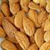 Nut Trees
